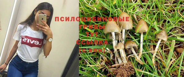 a pvp Алексин