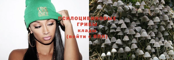дживик Алзамай