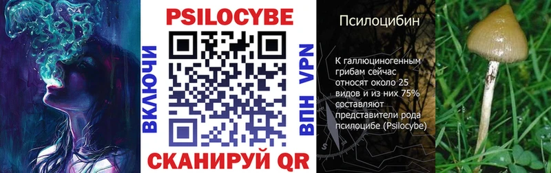 Галлюциногенные грибы мицелий  Купить  Ярославль 